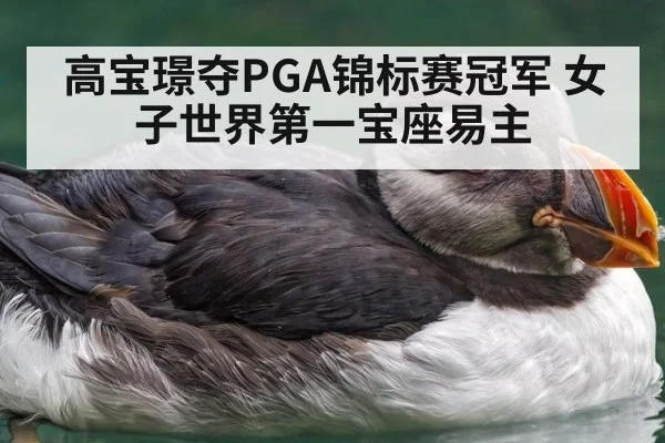 高宝璟夺PGA锦标赛冠军 女子世界第一宝座易主