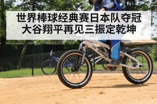 世界棒球经典赛日本队夺冠 大谷翔平再见三振定乾坤
